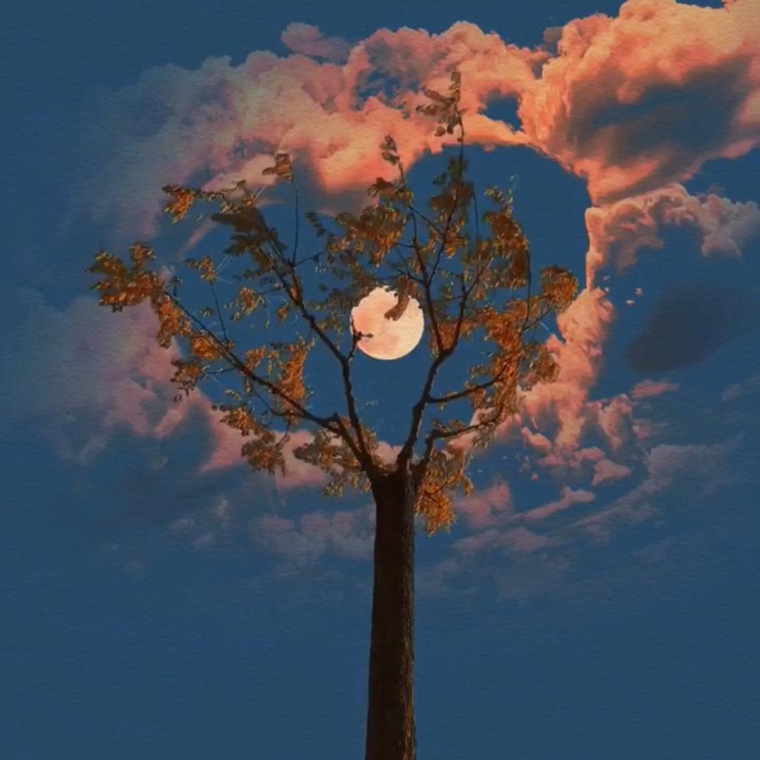 ⭐️星星⭐️