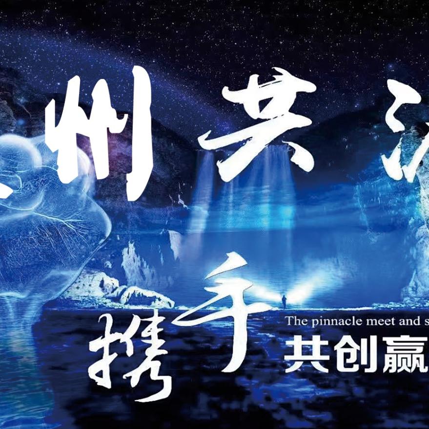 贵州共渡信息咨询有限公司