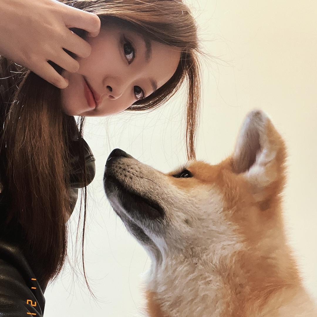 柿红西