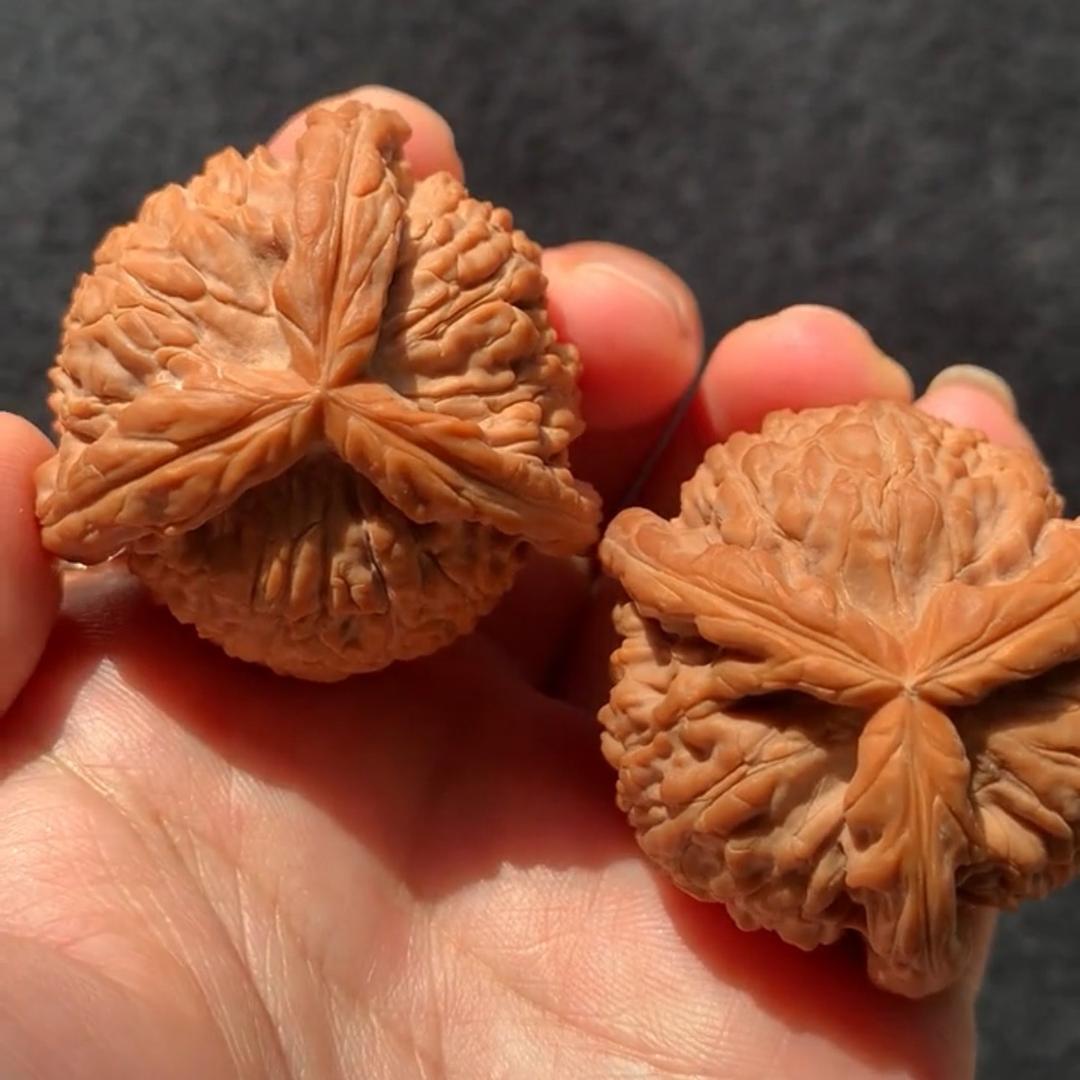 砥砺前行