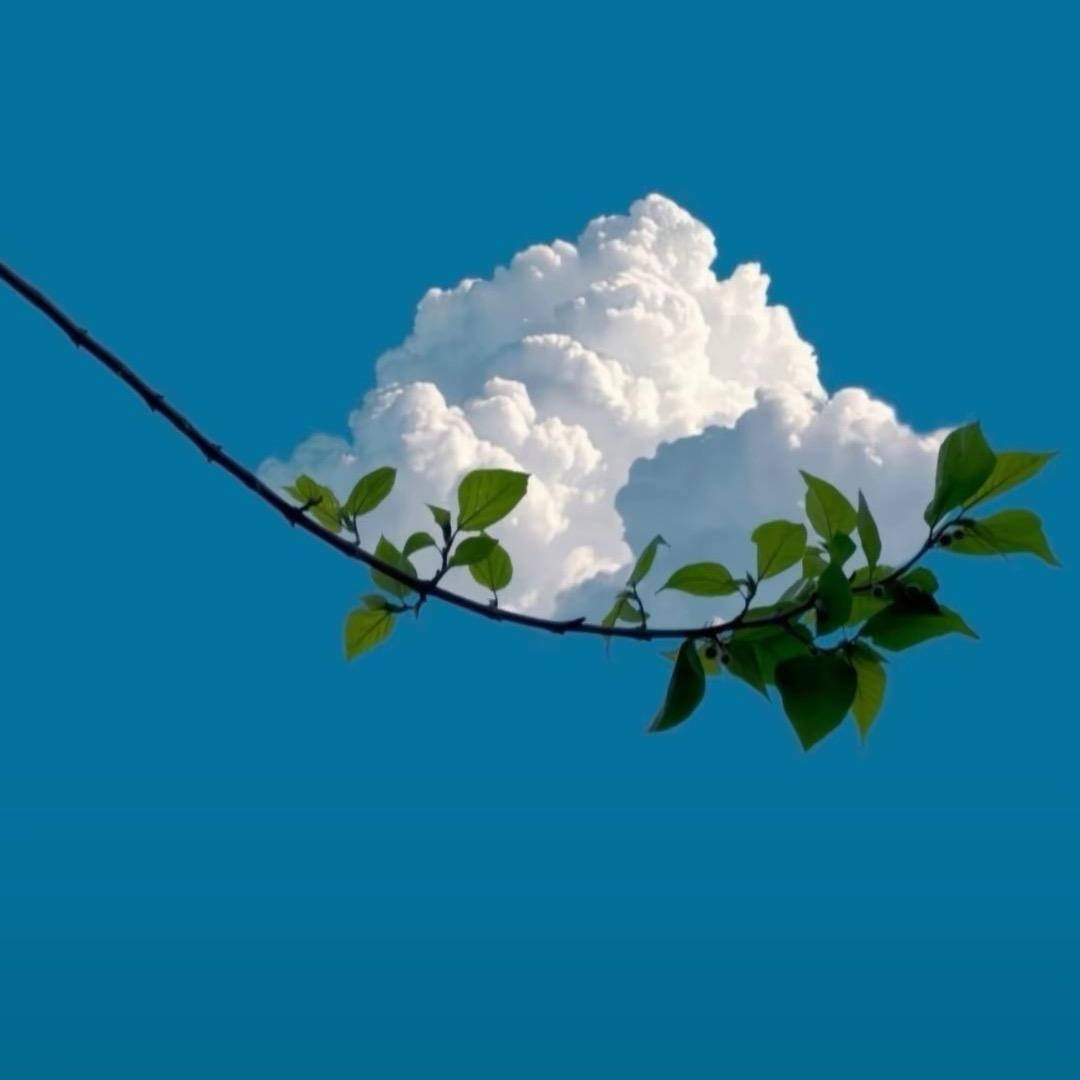 开心每一天🍀🍀🍀