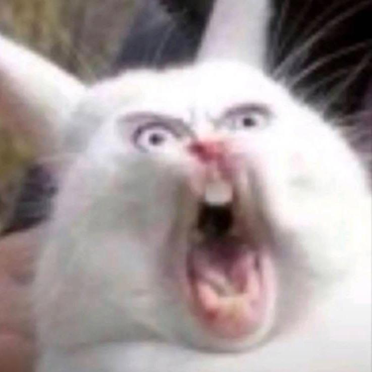 笑的笑的泪崩了