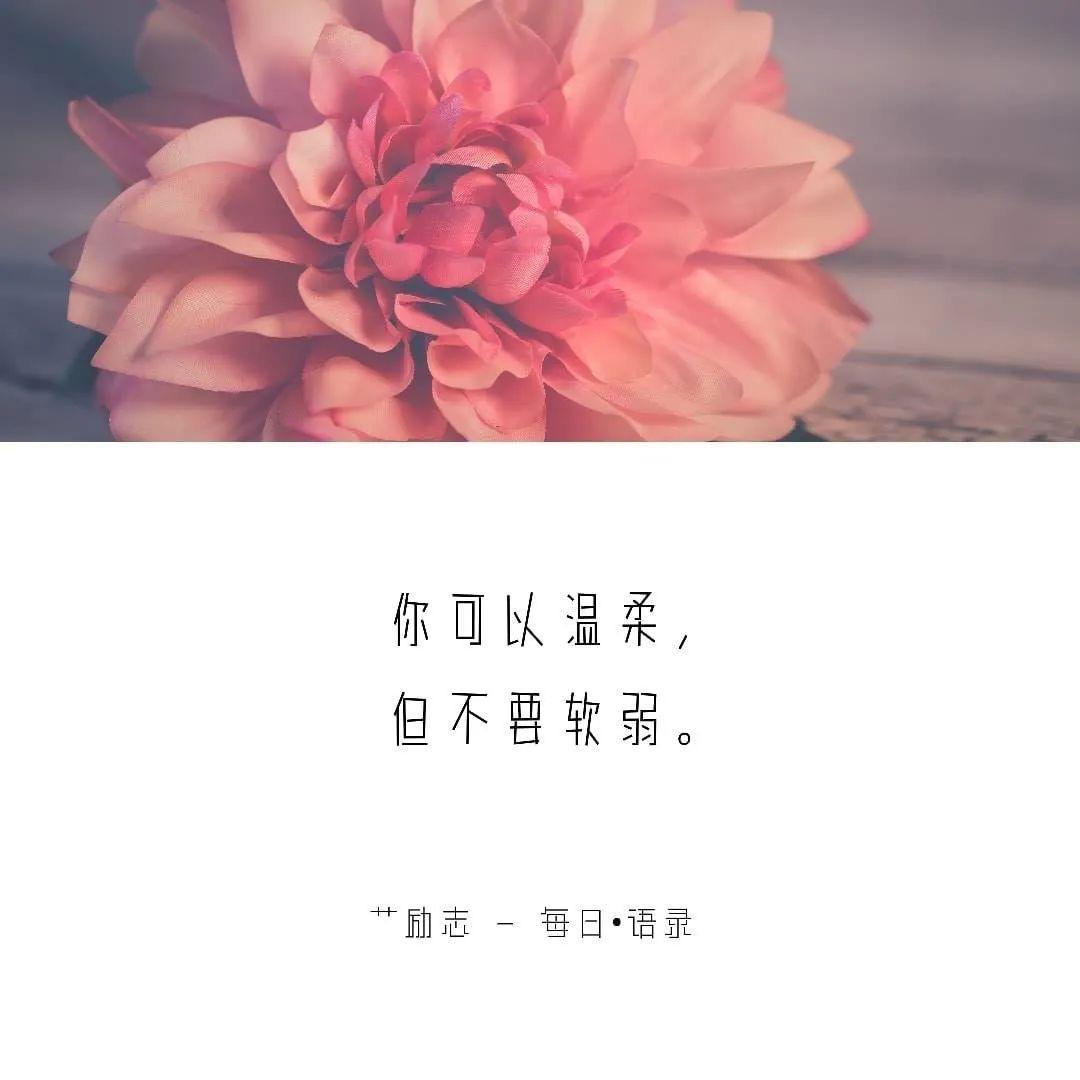 小猫爱吃鱼
