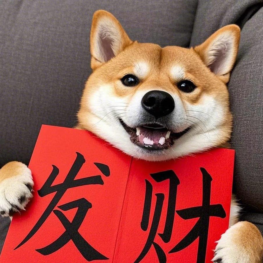 阿柴（省钱版）