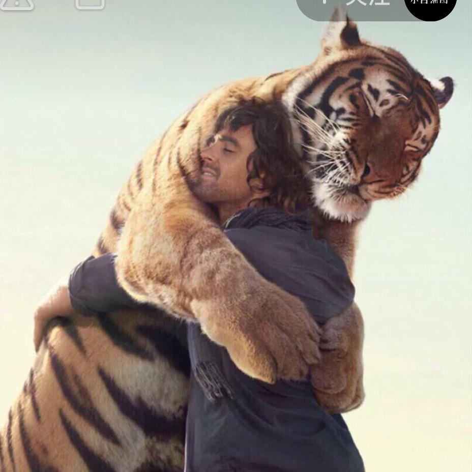 爱尔兰刘千亿老师