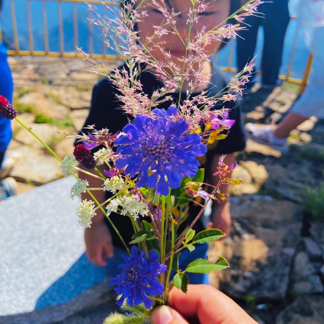 吃颗黄豆放个屁