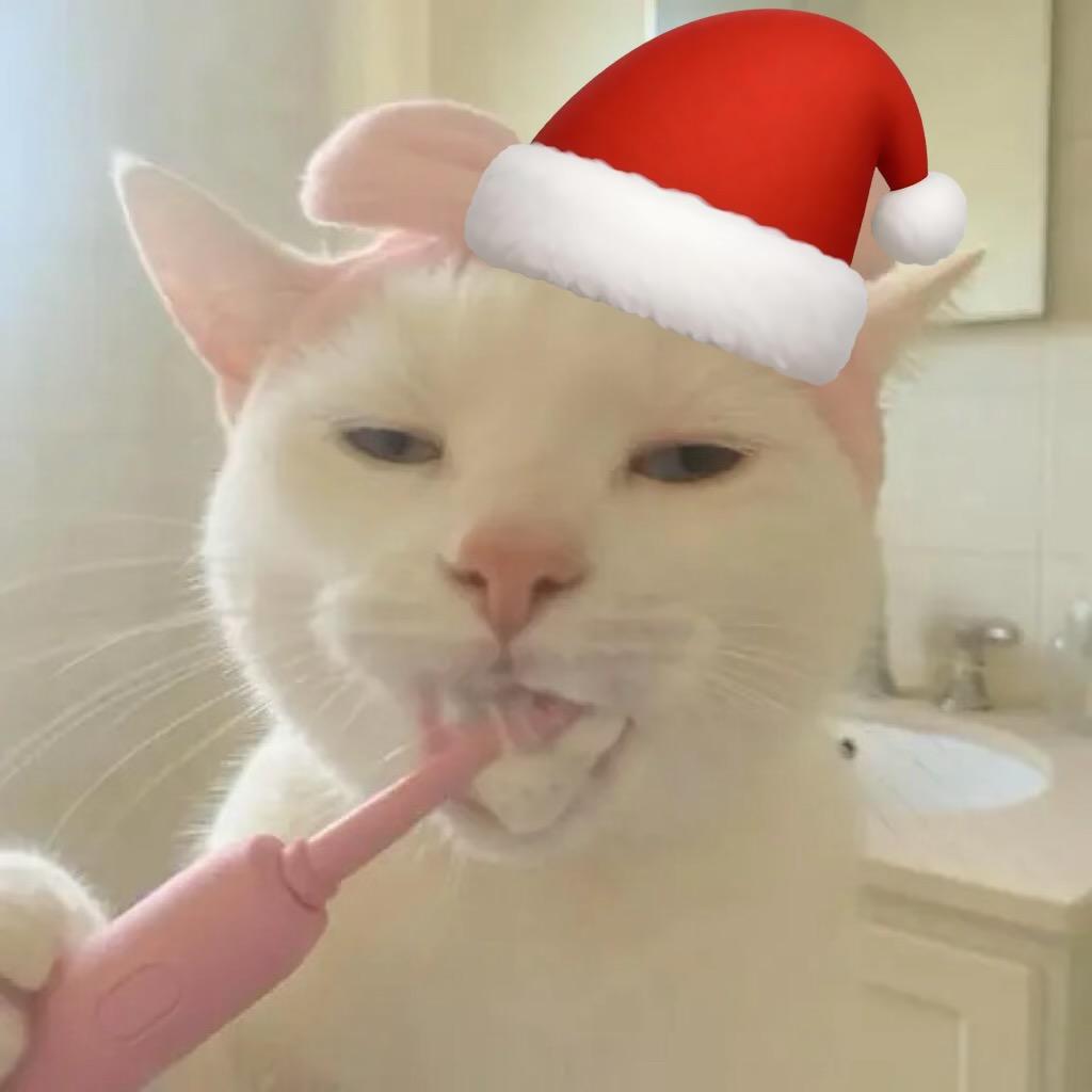 my