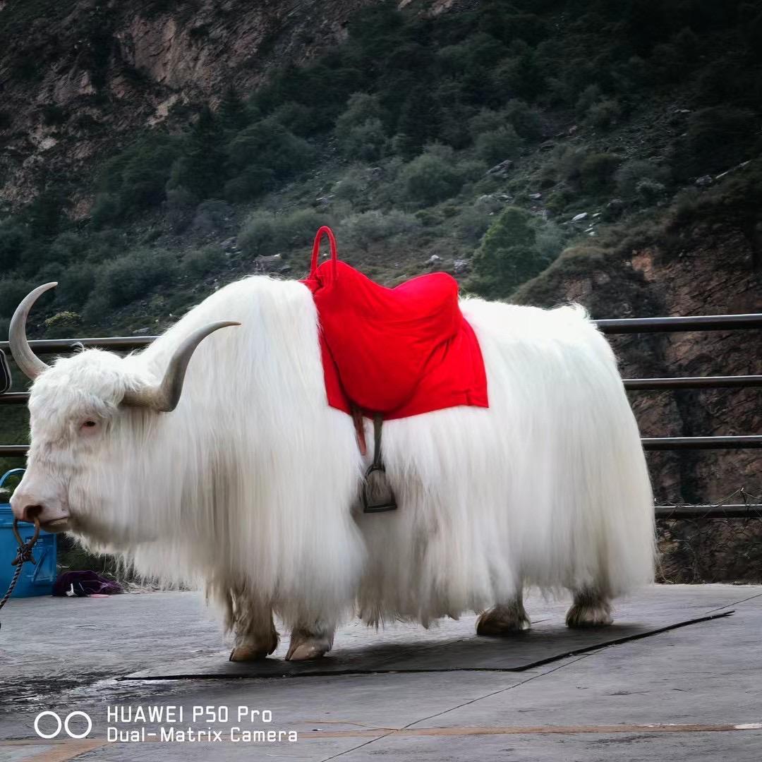 北方