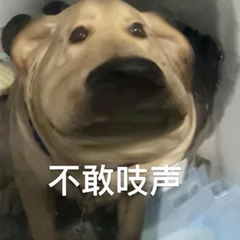 陈全