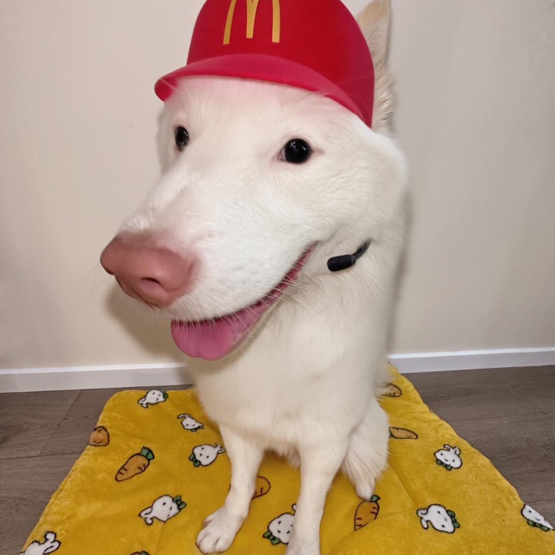 里奥不是马里奥