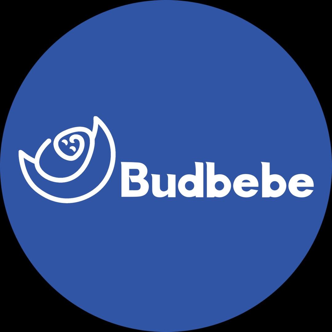 Budbebe禾众优选店