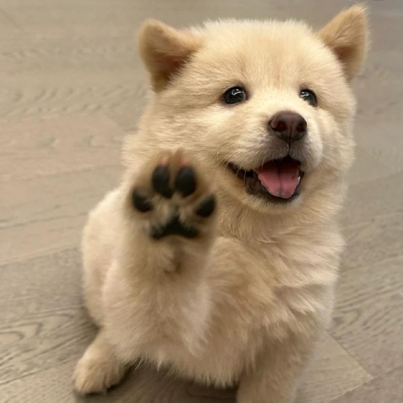 ～