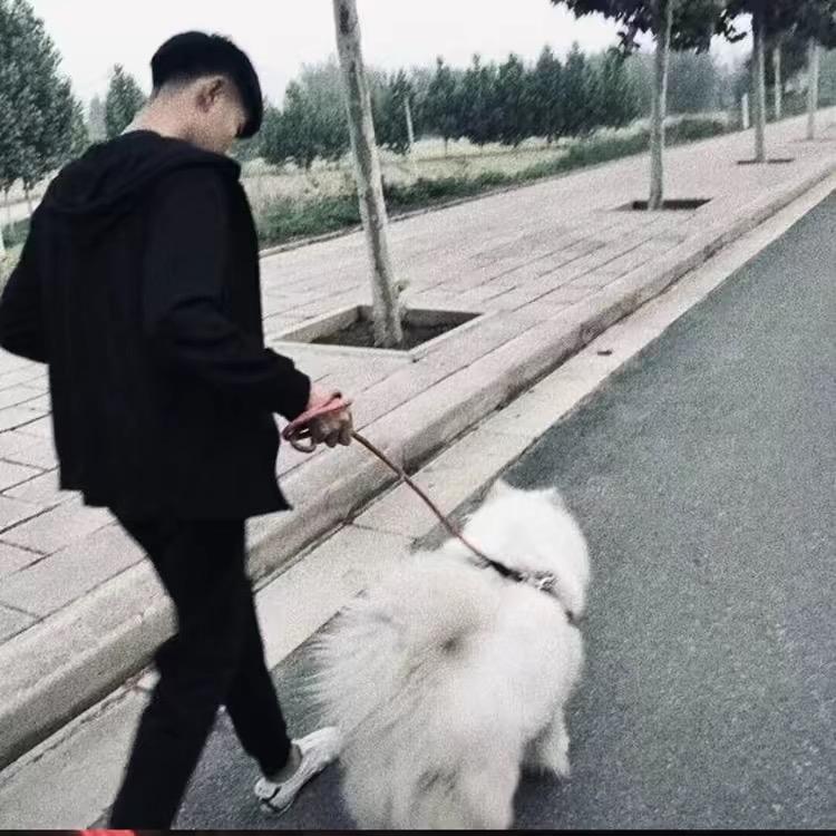 防 .