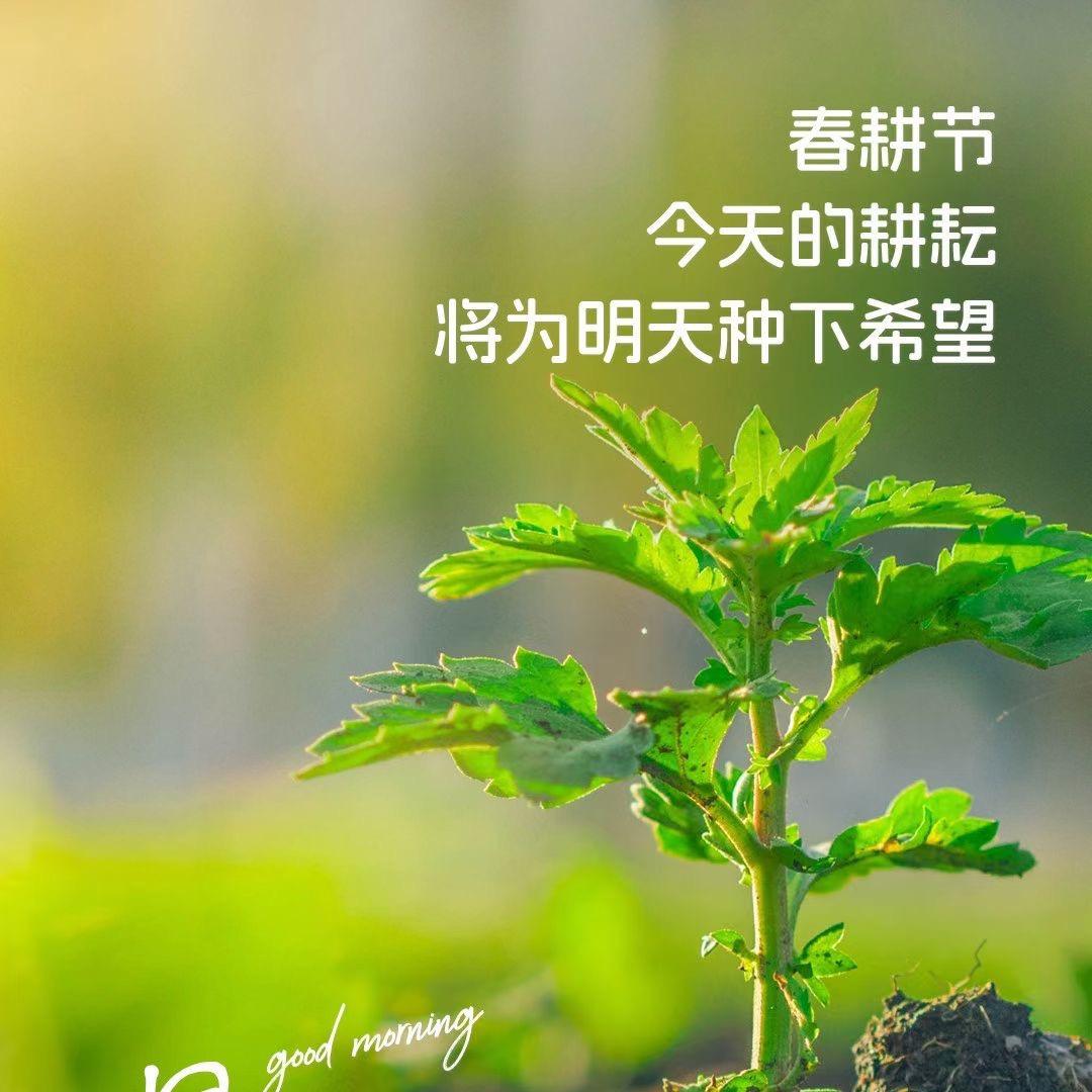 平安喜乐