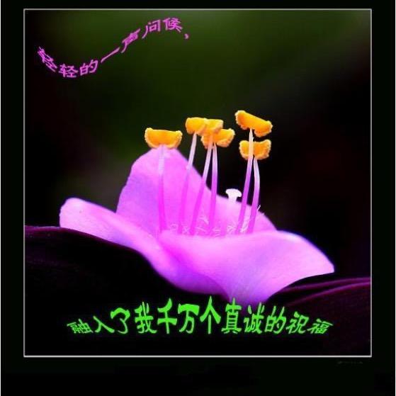 物是人非