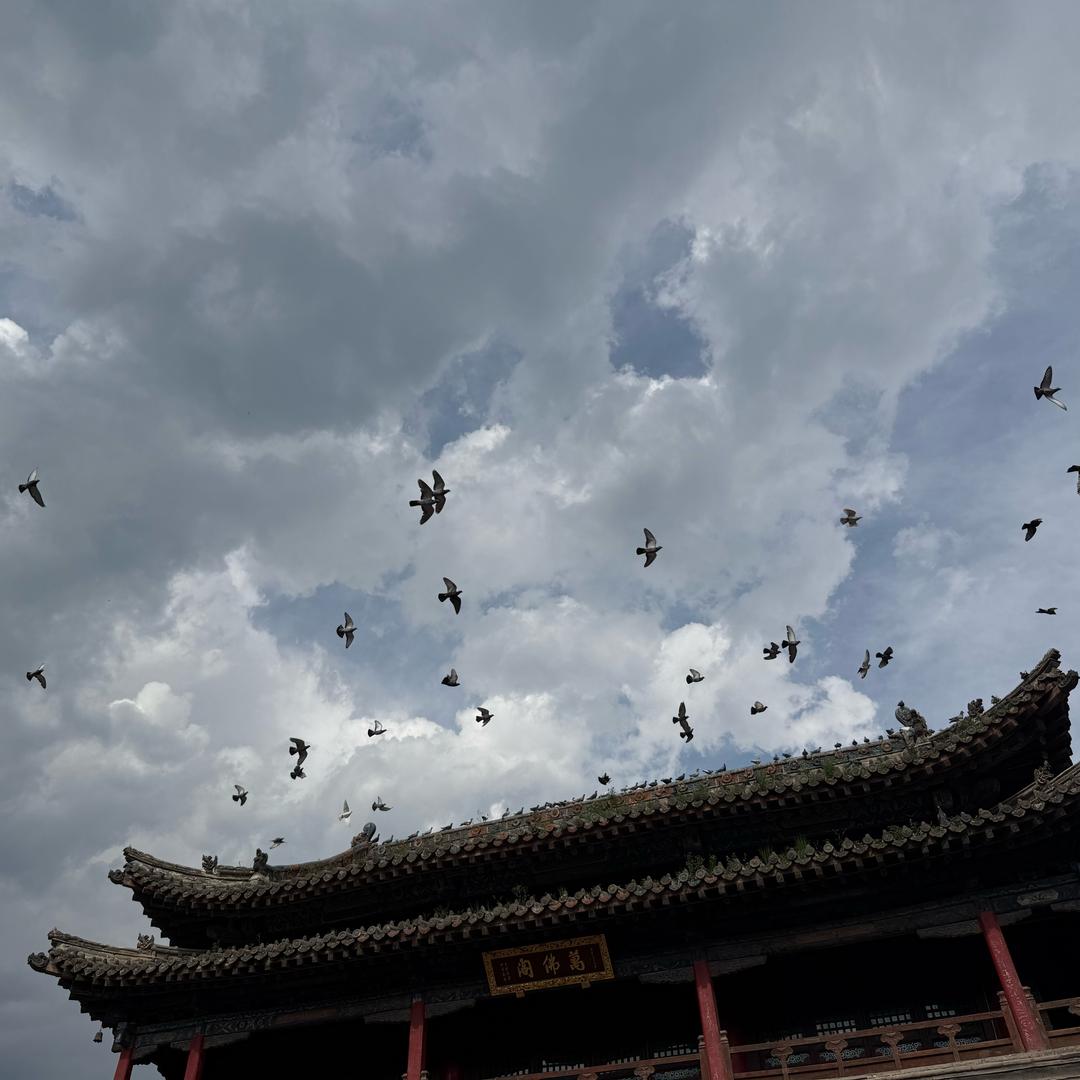 无名……