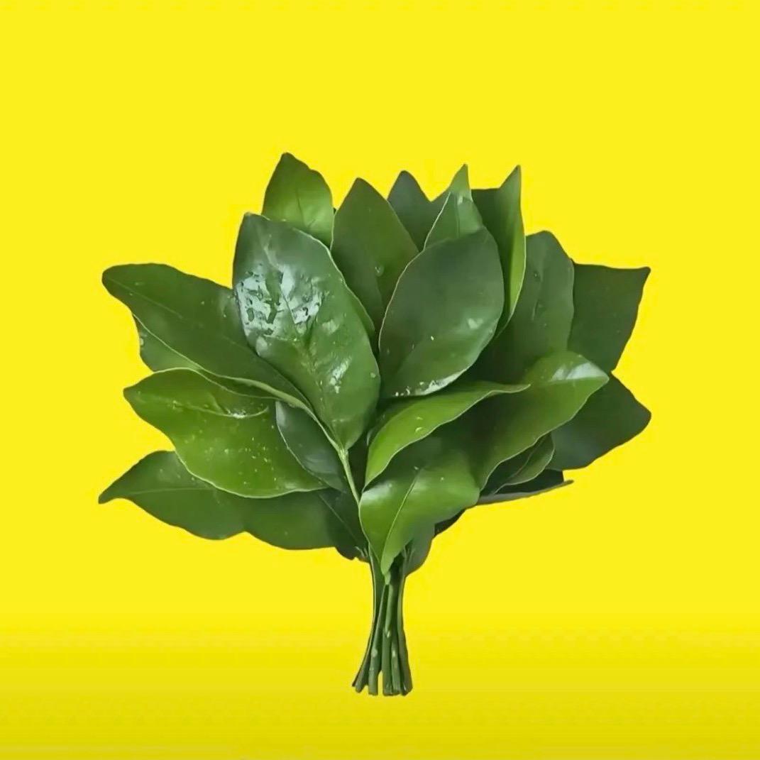 落落