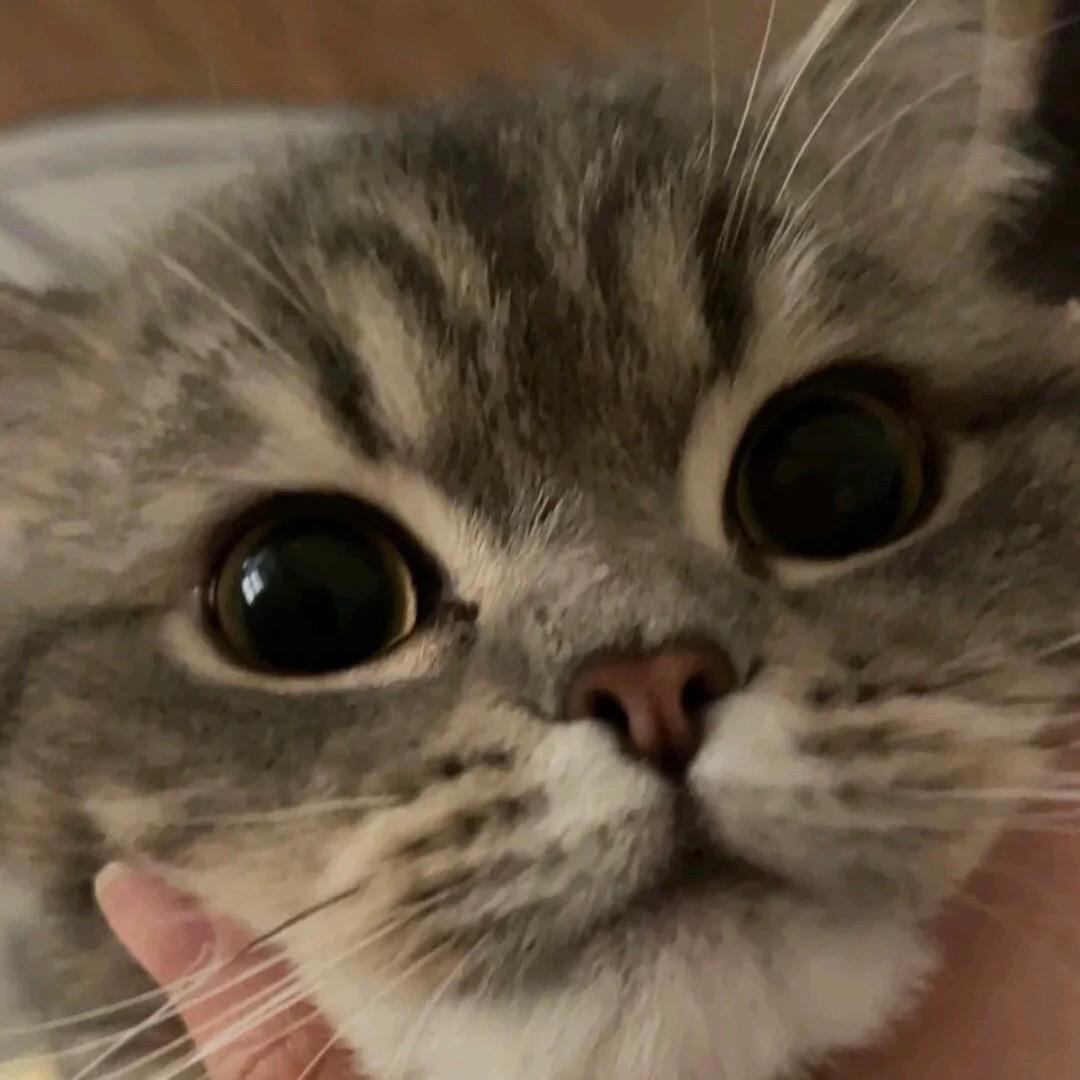 清醒.