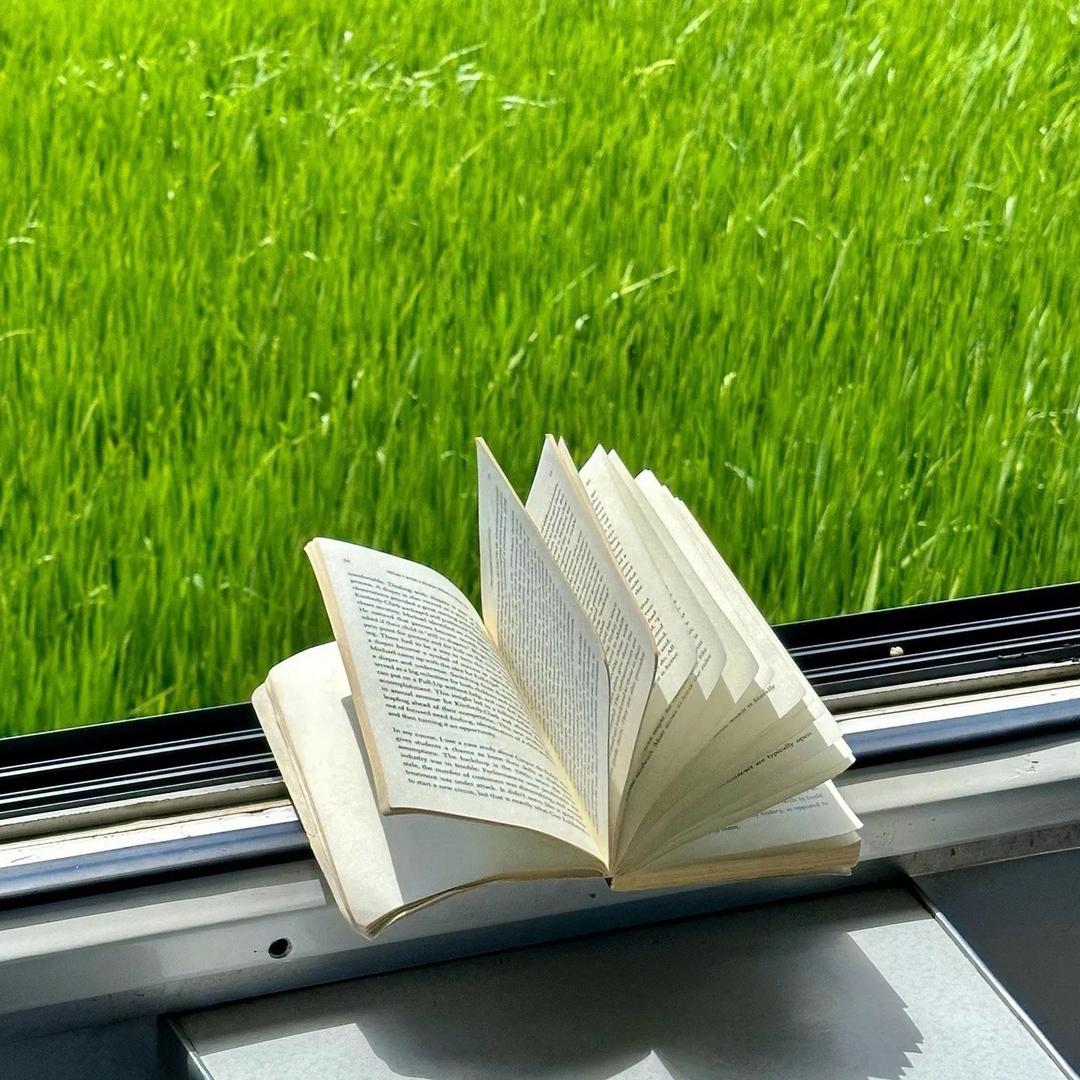 *用户 7589644269874755