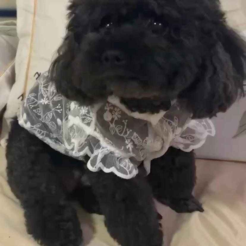 实心实意