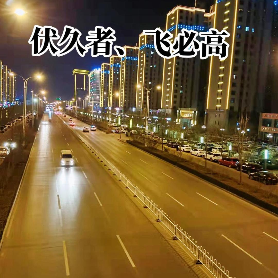 孤独的狼
