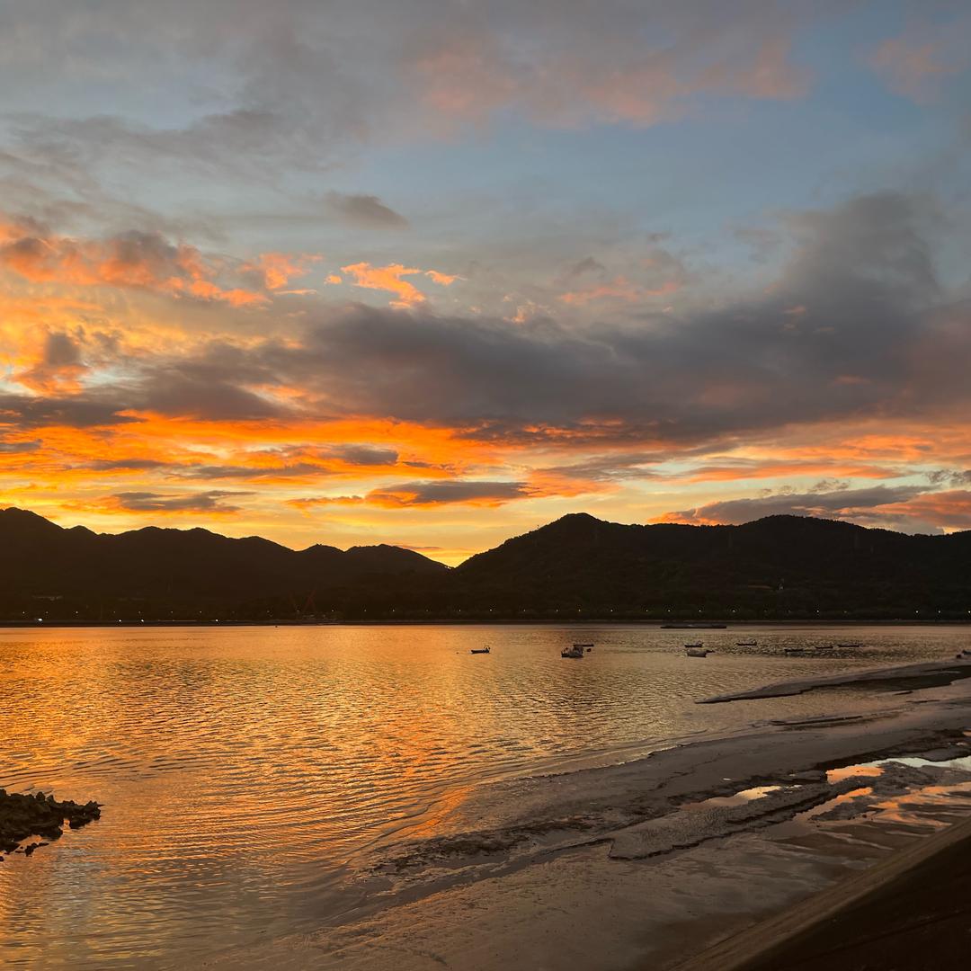 蛋糕的玫瑰星球