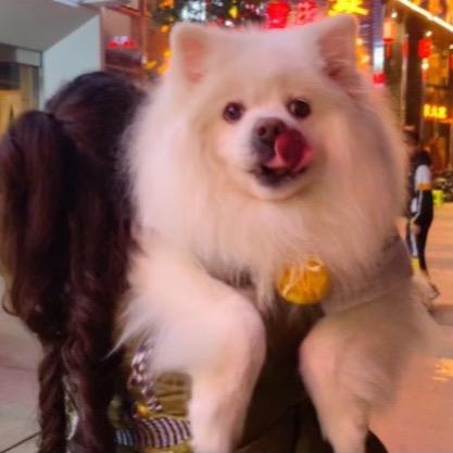 好乖哟
