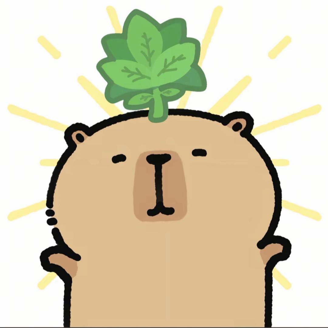 不是！
