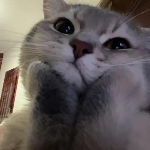 -Y