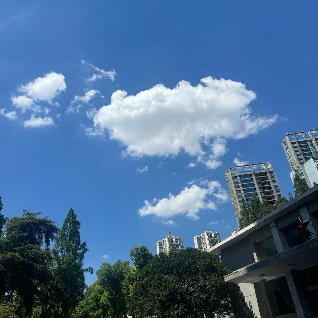 聚甄鸢