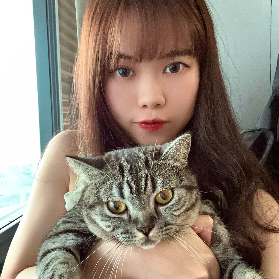 大喵和小猫咪