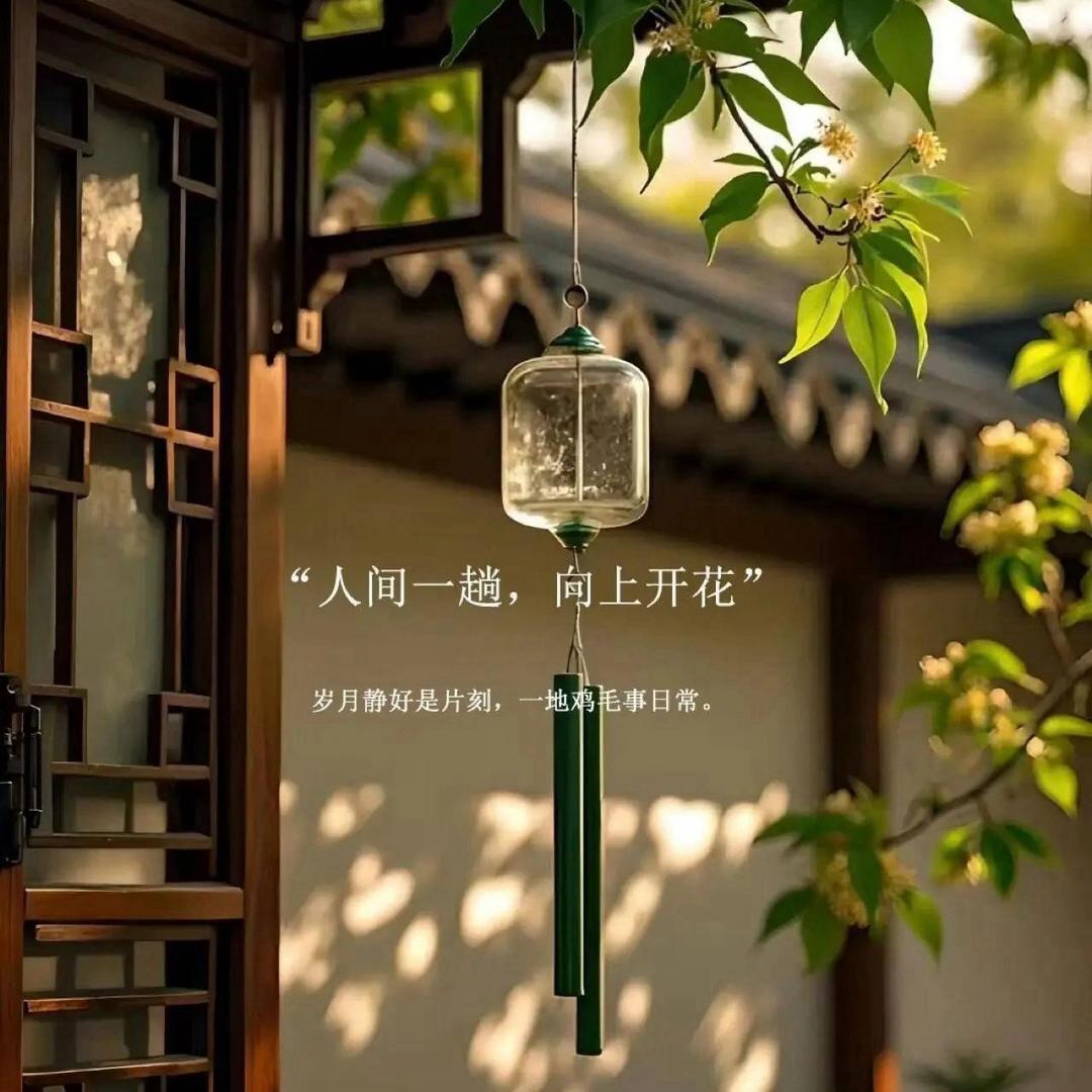 Chen-陈默不语