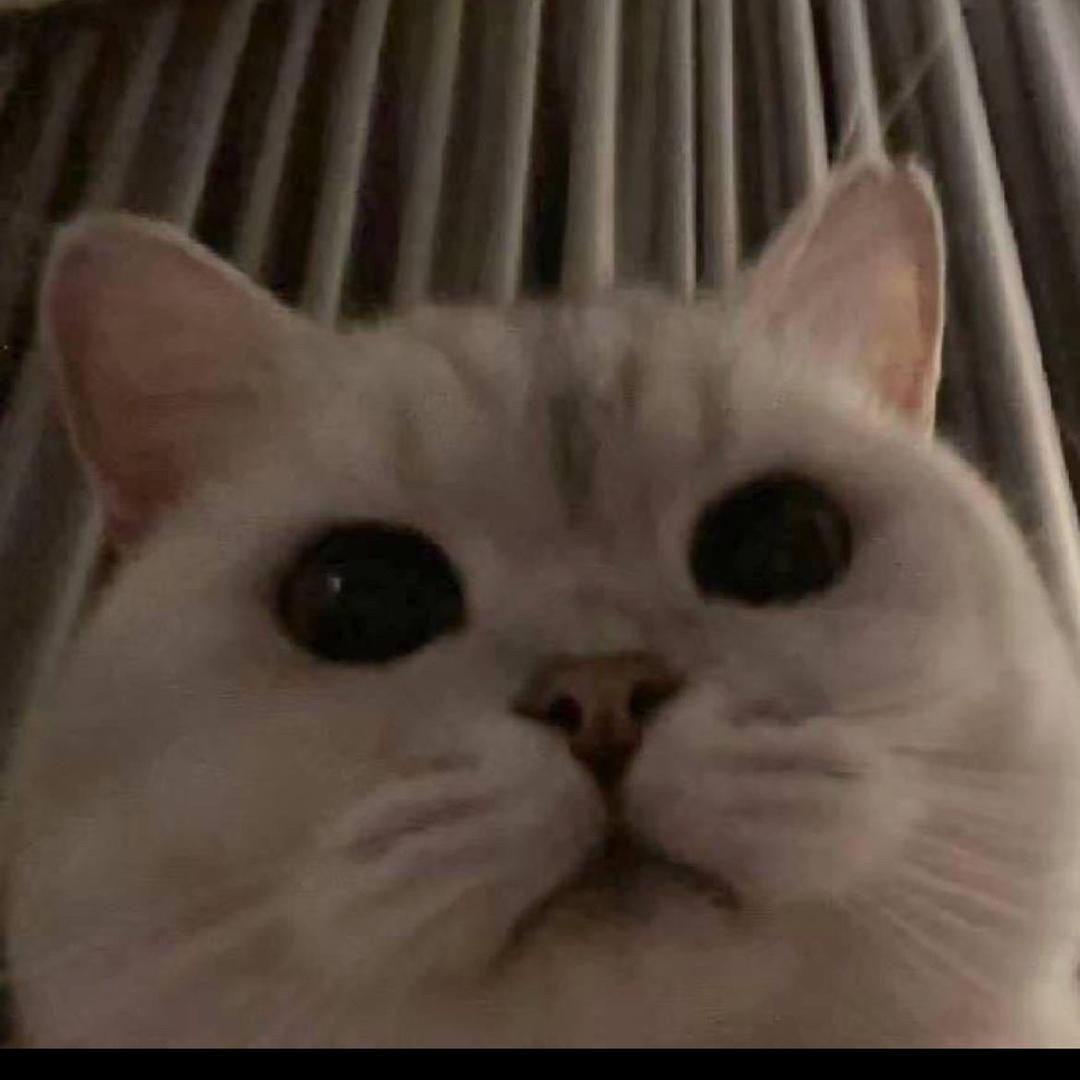涵的少