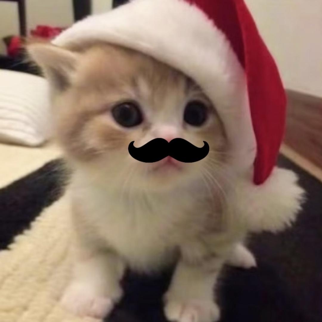 十九的月亮圆又园