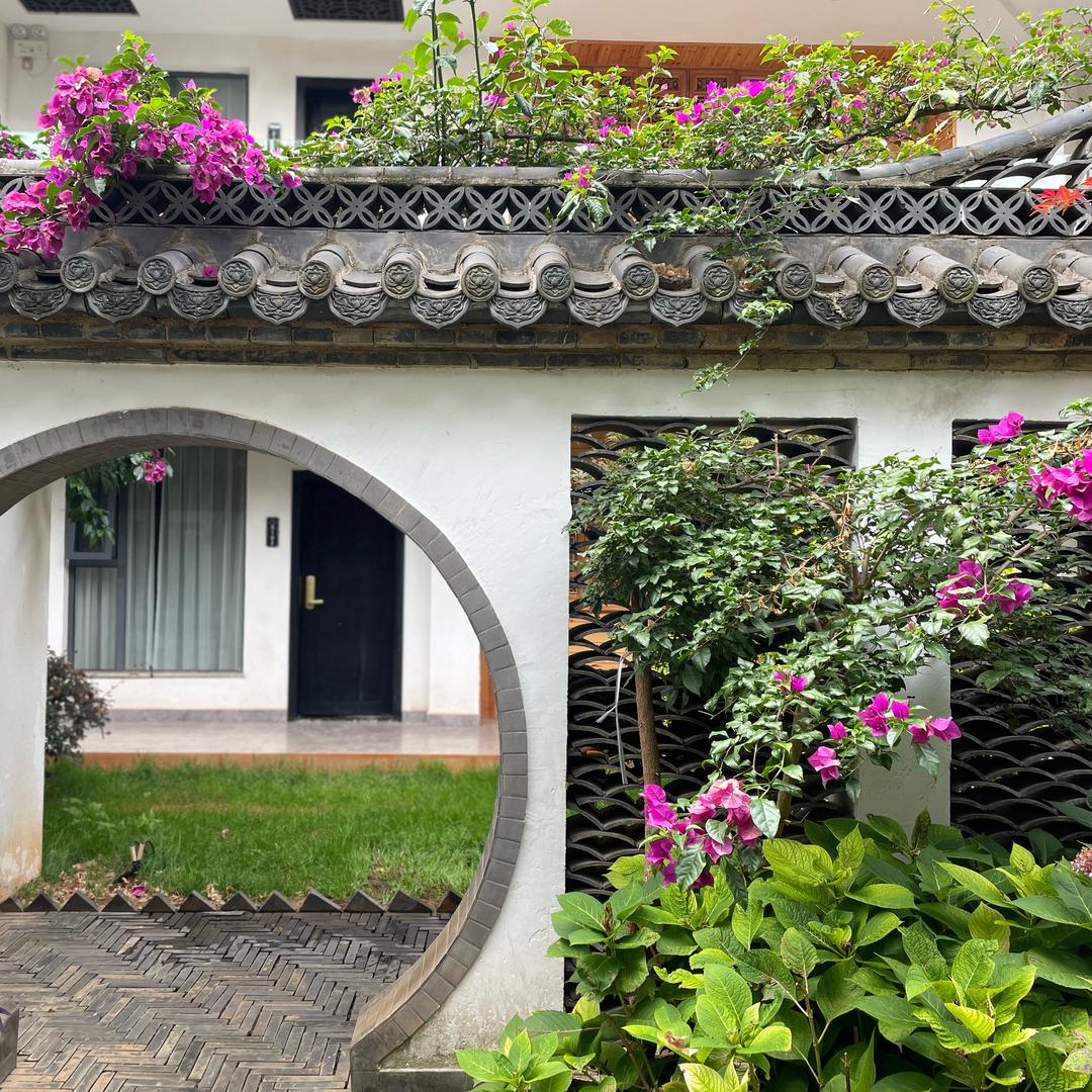 风和日丽🍃