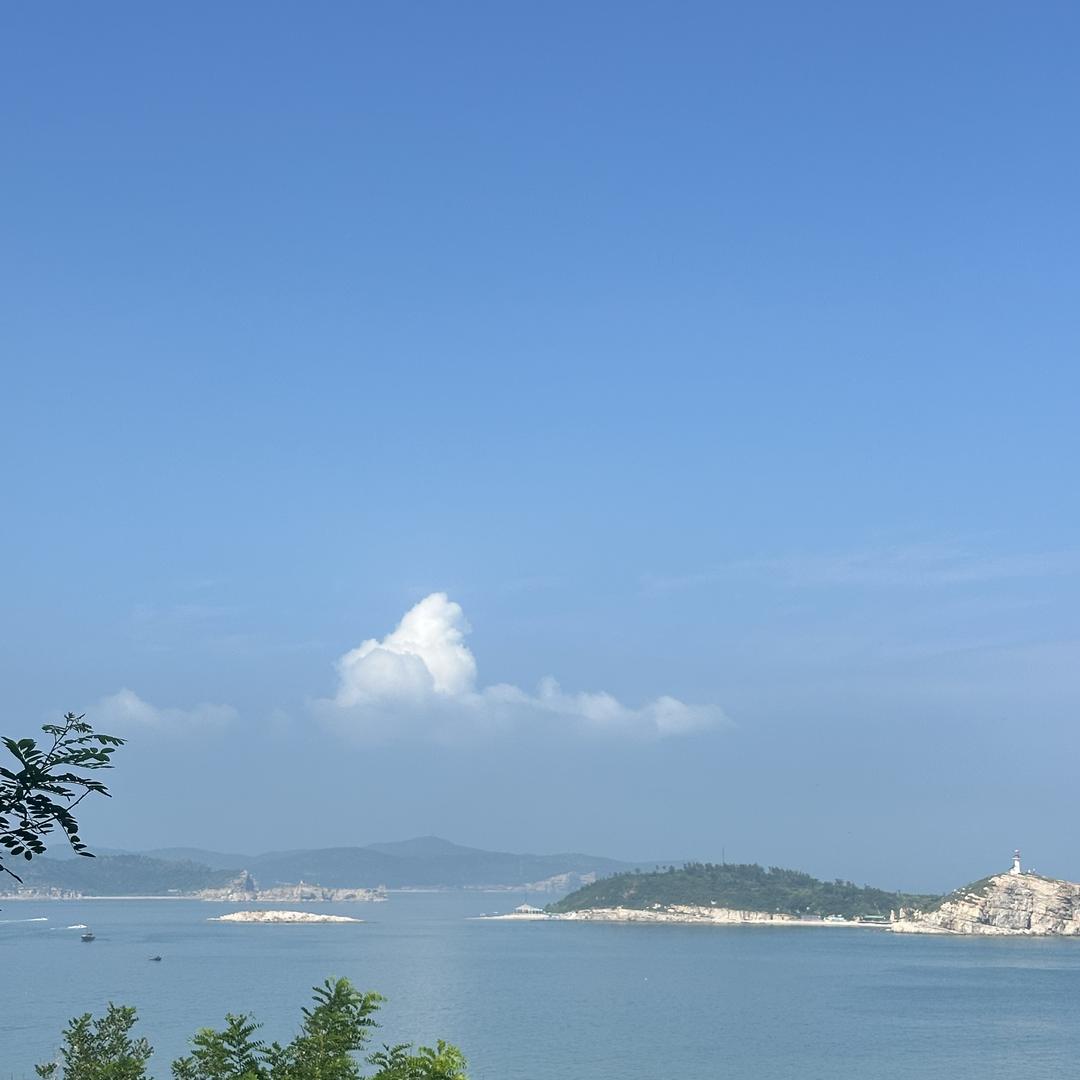 王通物流