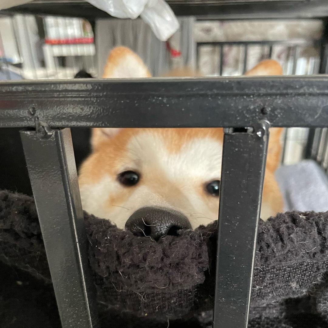 浅聊一下