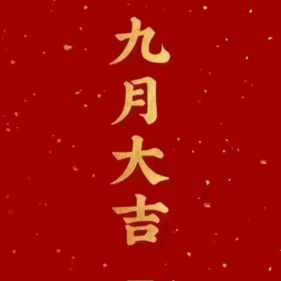 鲨鱼姐妹