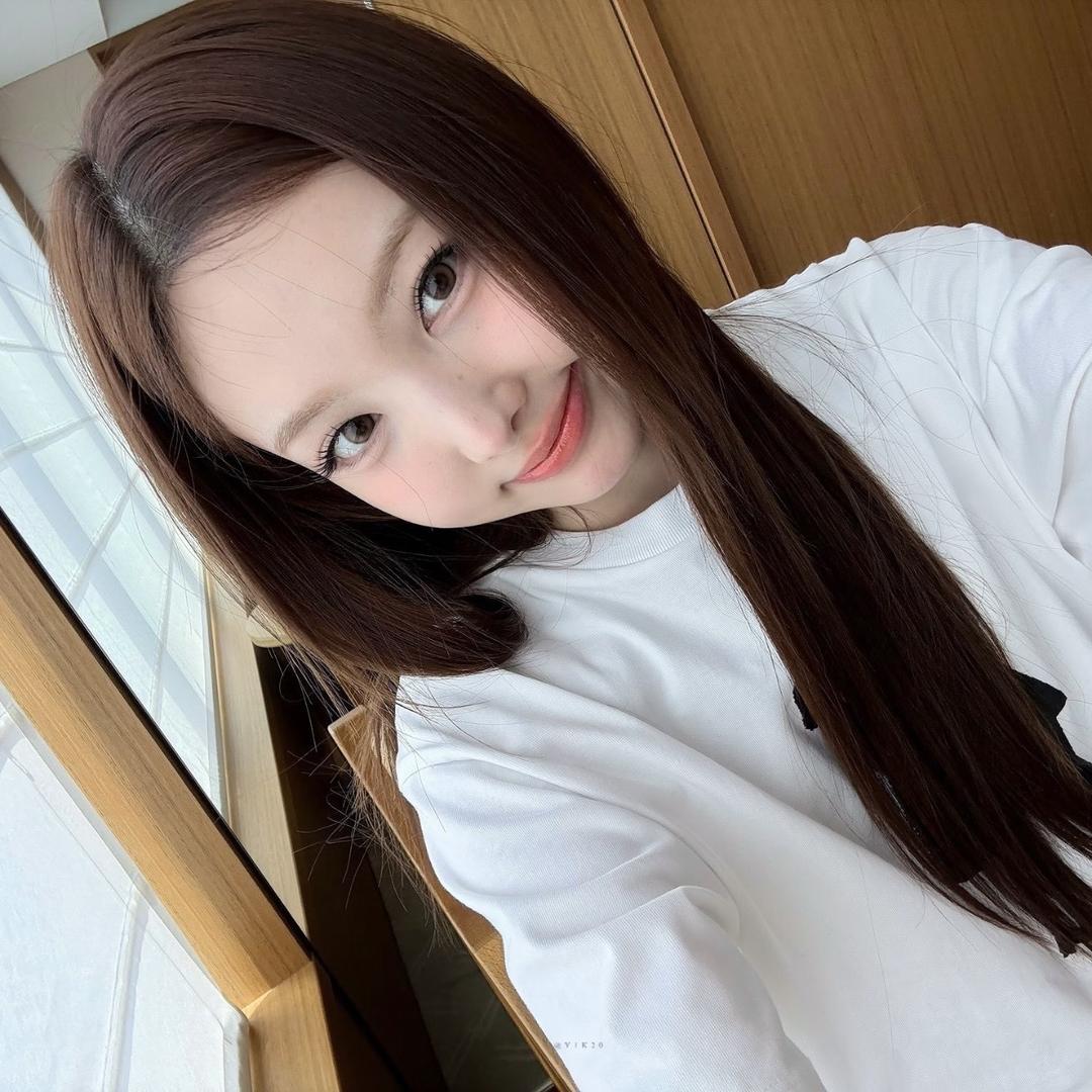 我猫椰