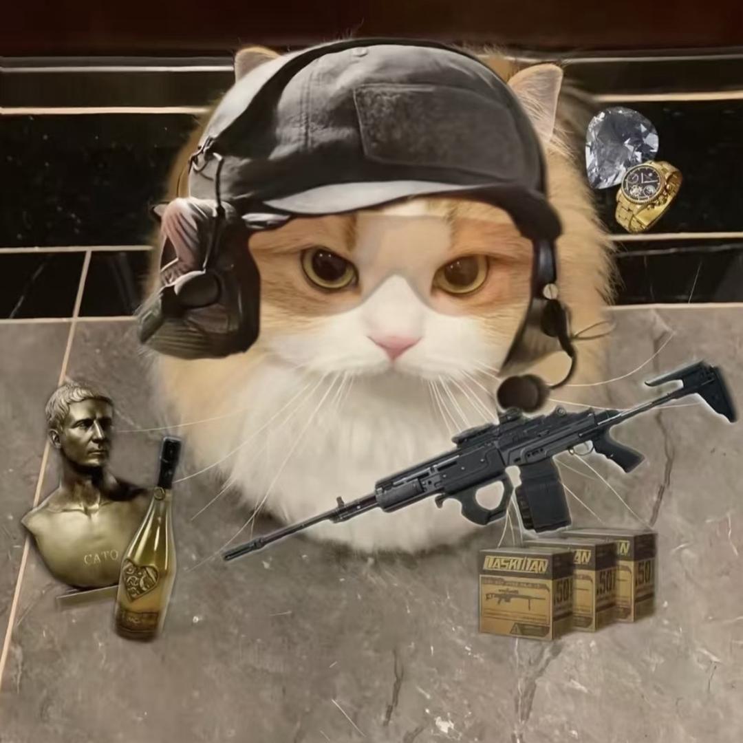 程曦@三角洲行动