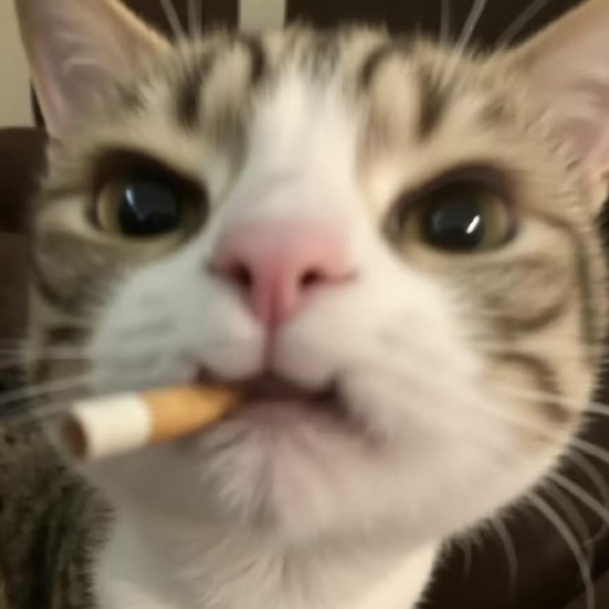 漫桃野原创设计女装