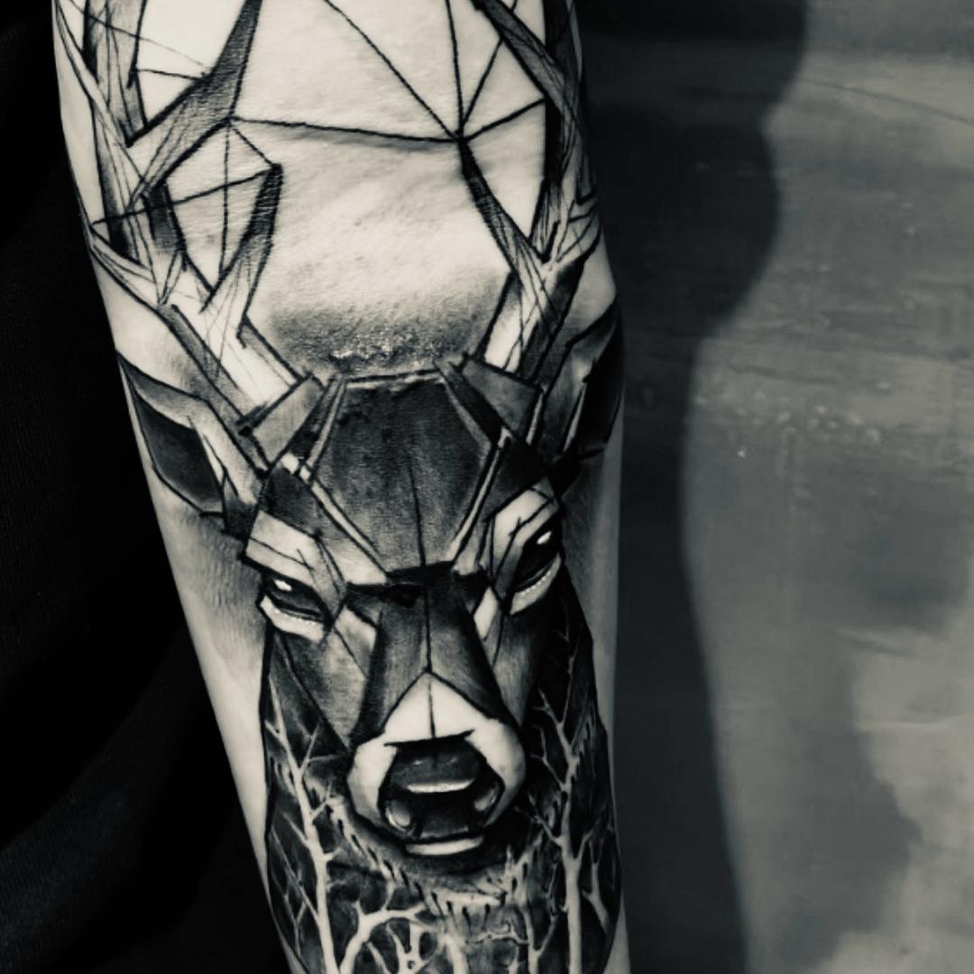 林深时见陆🫵🫵