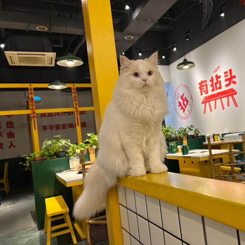 李先森♐