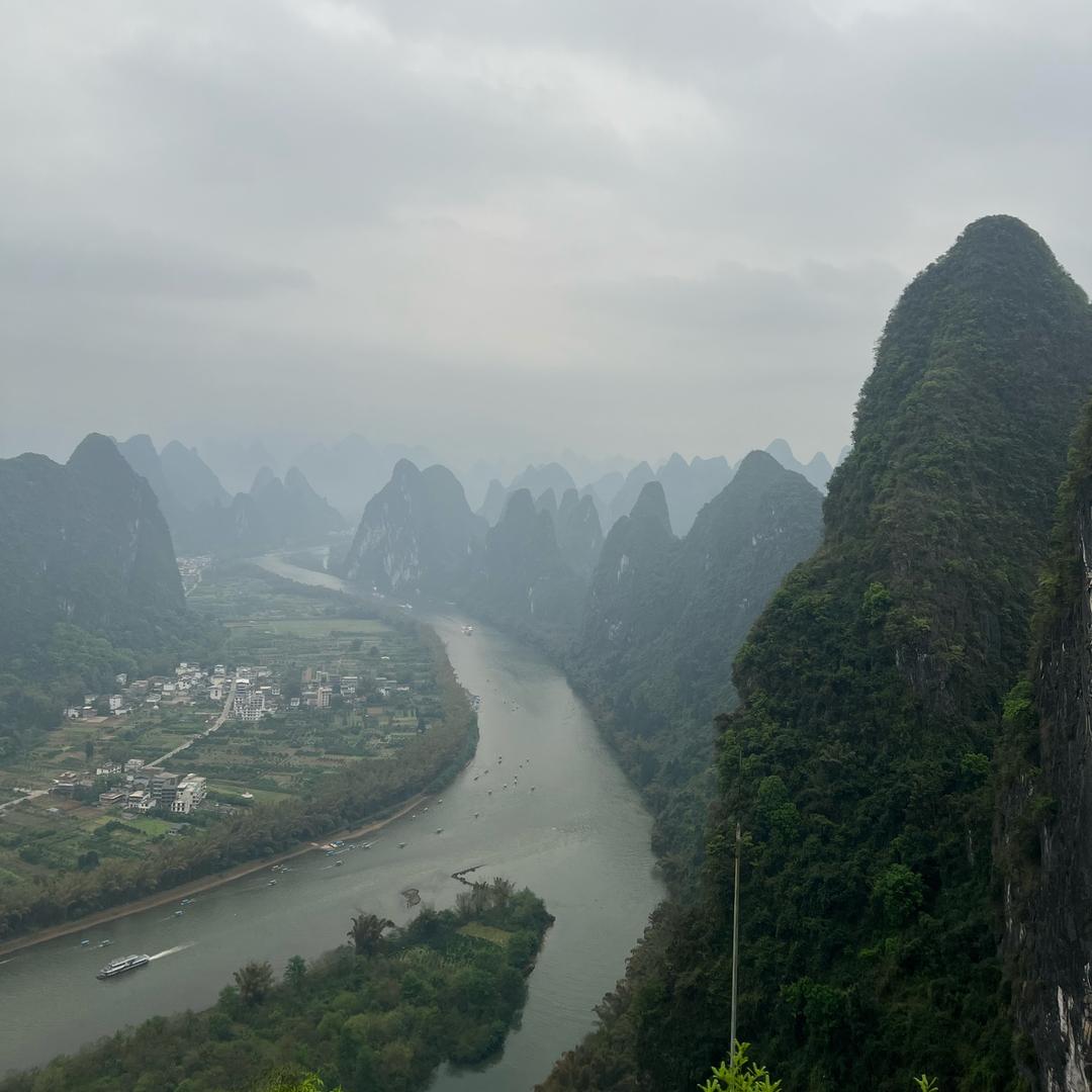 趁月色小酌