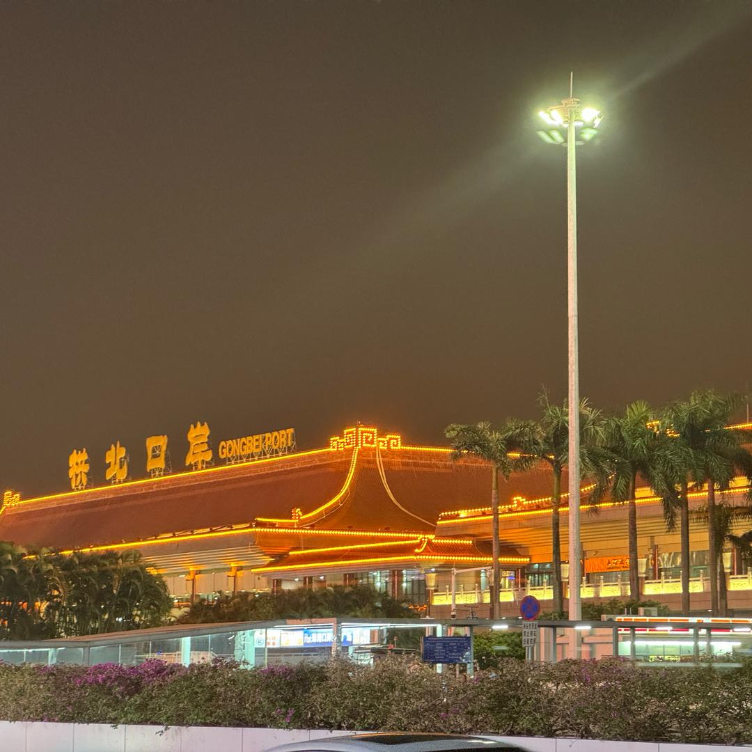 爱画画的吴烦恼丶