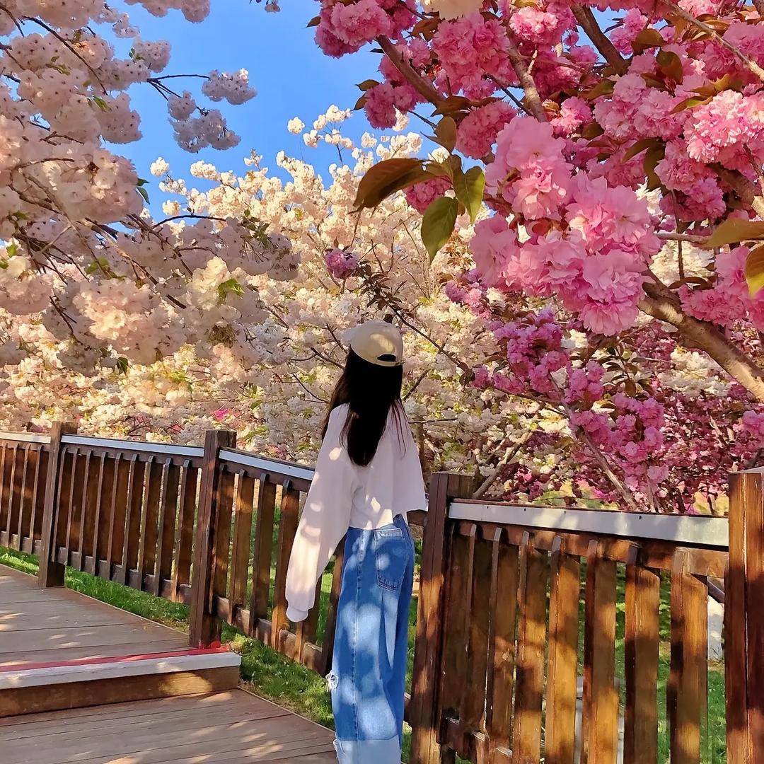 拾玖带你去旅行