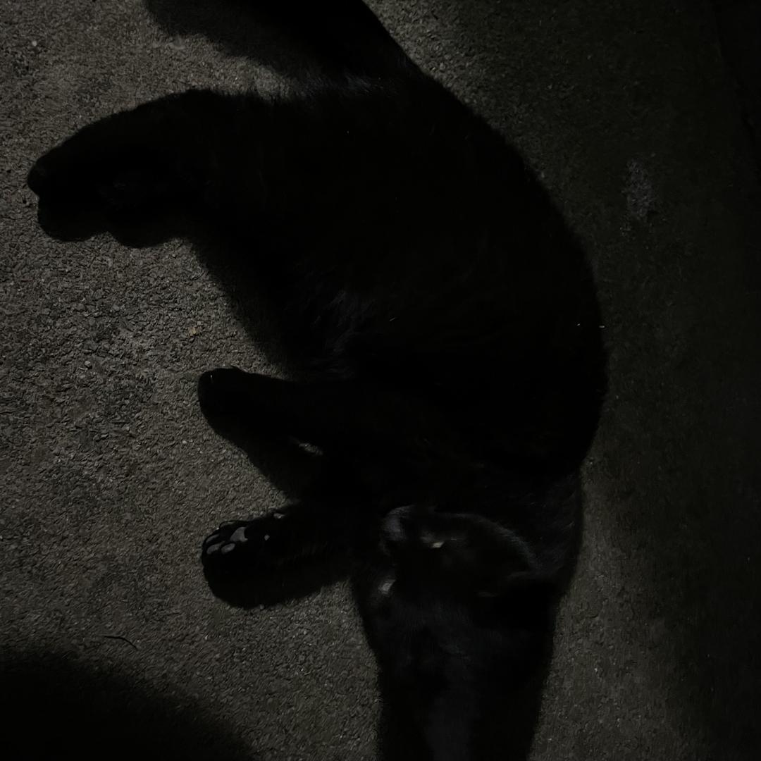 沛曦