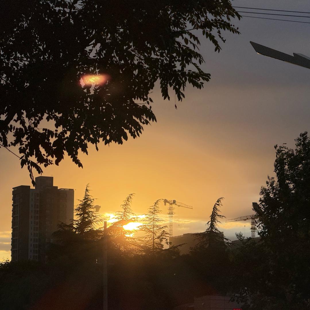 🌟🌟🌟🌟🌟🌟🌟