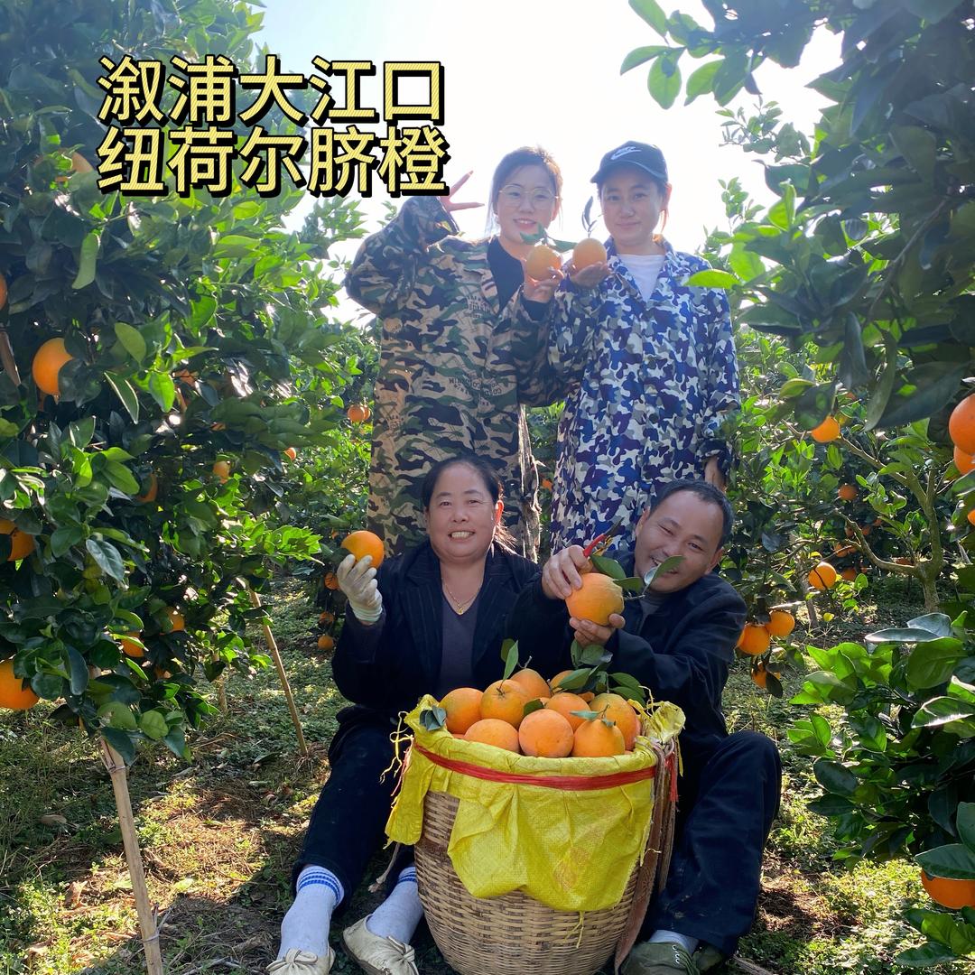 溆浦谢家水果农场（个体工商户）