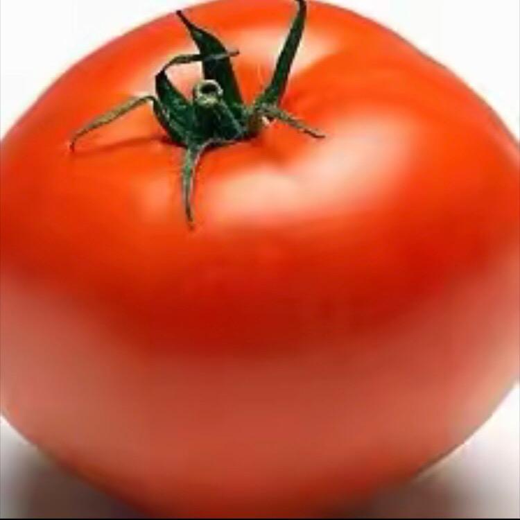 强壮的腰